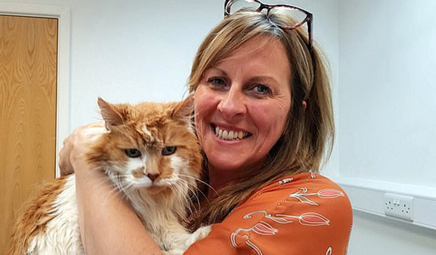 Угинула најстарија мачка на свету, а ево колико година је доживела (Видео)